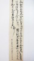 丁仕美草书书法竖幅《朝云诗》