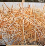 Silence, Oil Painting, Chinese Painter Bai Jin