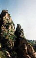 摩天岭咏松