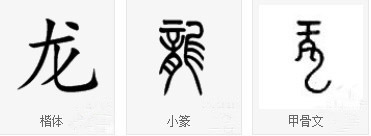 丁仕美大篆书法中堂《龙》-6